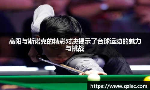 高阳与斯诺克的精彩对决揭示了台球运动的魅力与挑战