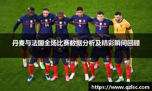 丹麦与法国全场比赛数据分析及精彩瞬间回顾